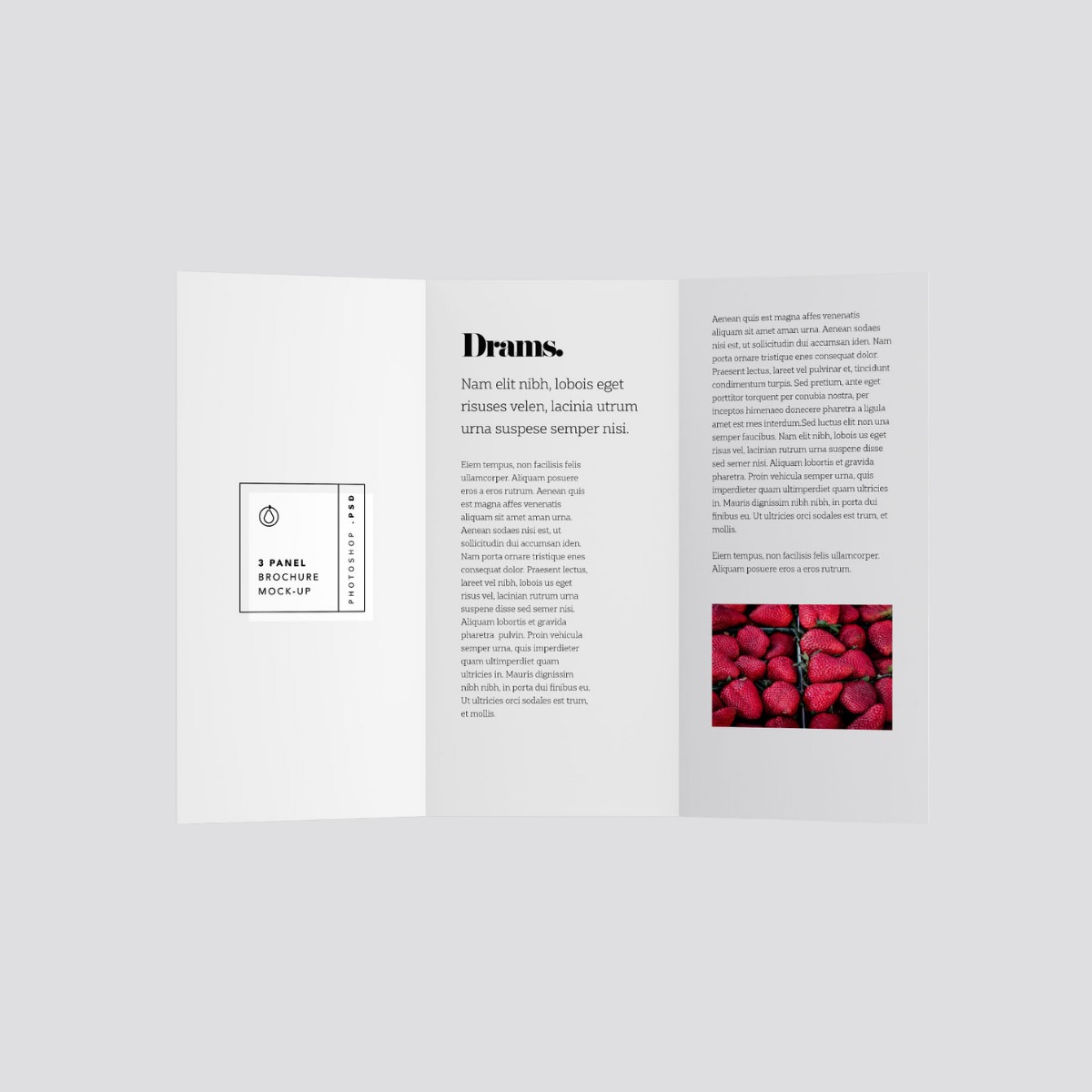 A4 3 PANEL FLAYER