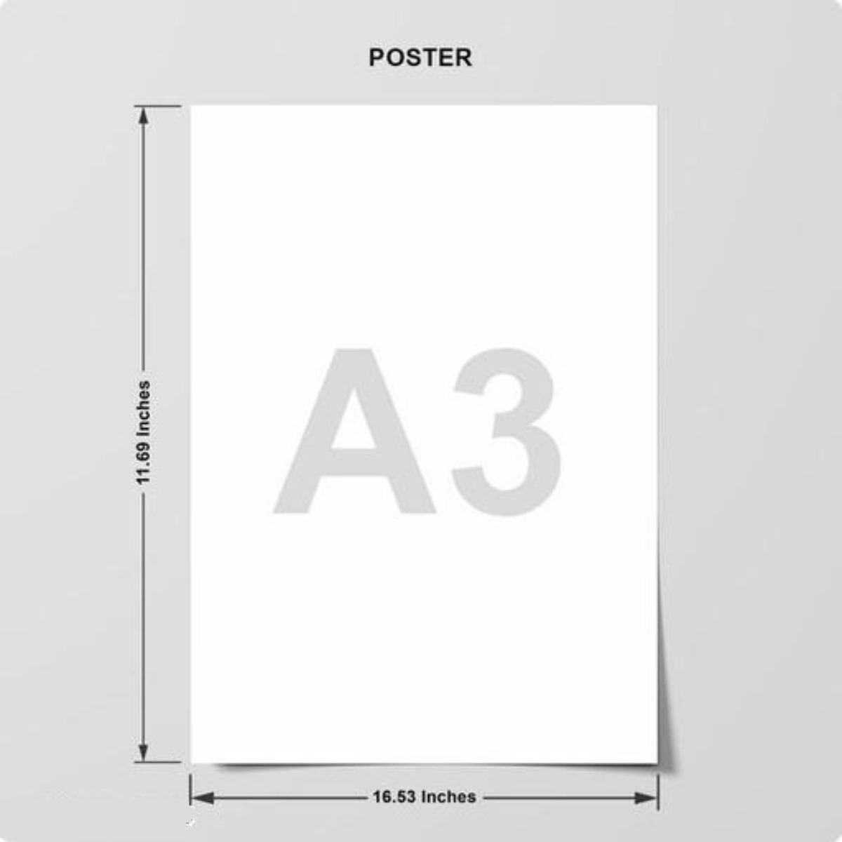 A3 POSTER